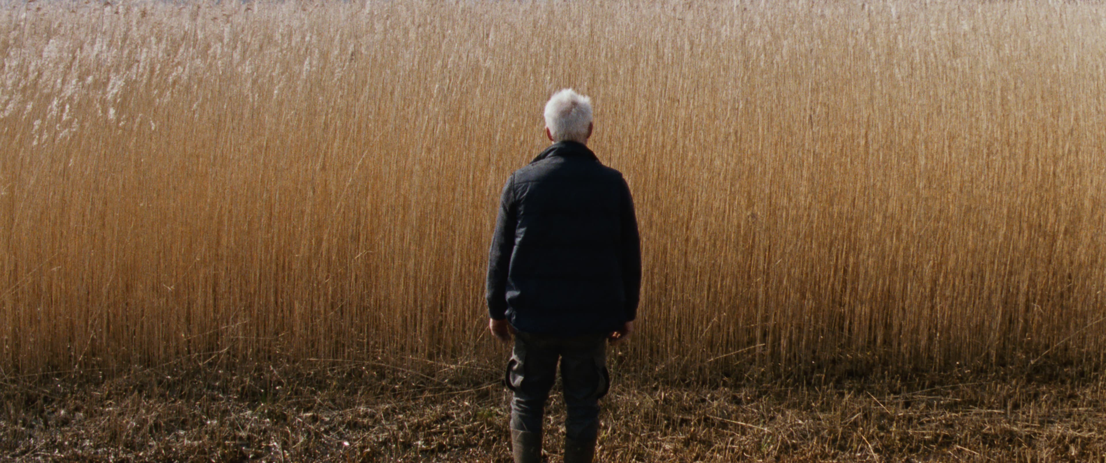 Van eigen bodem