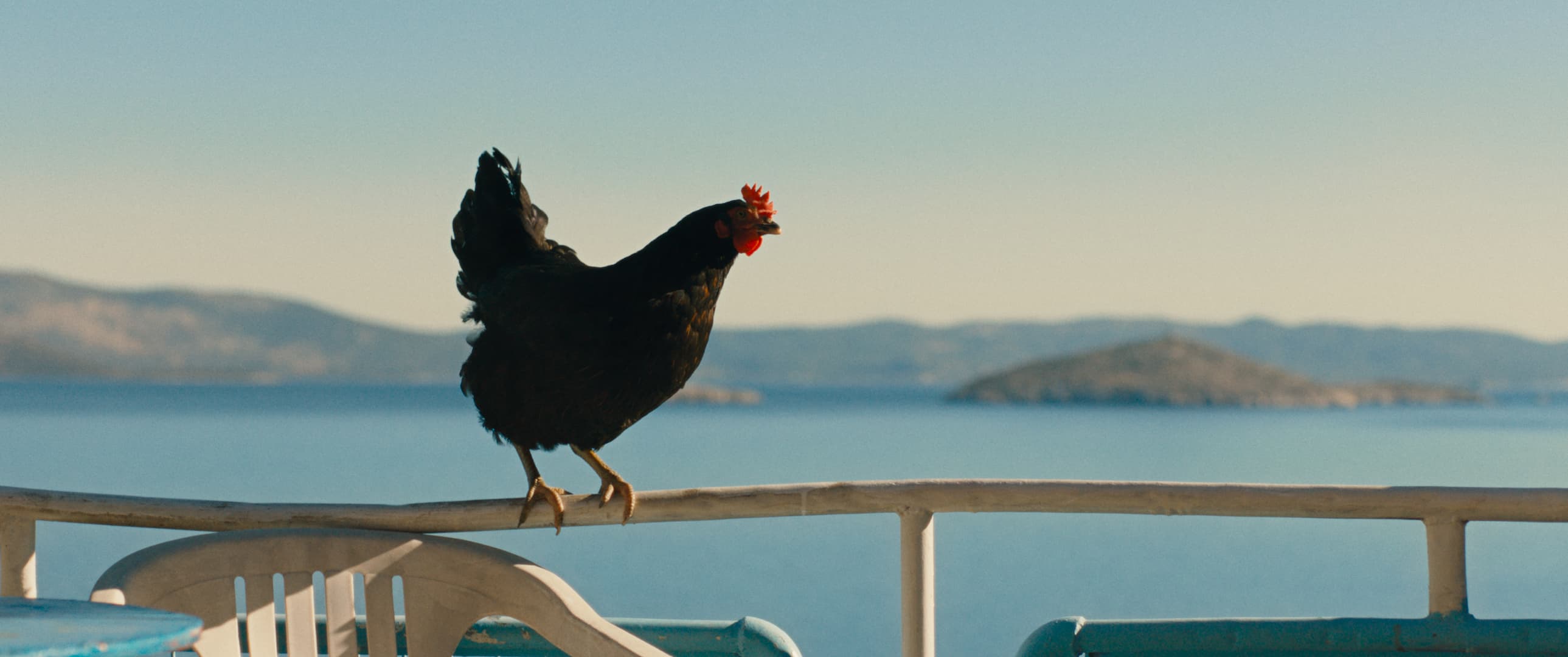 Still van de film Hen