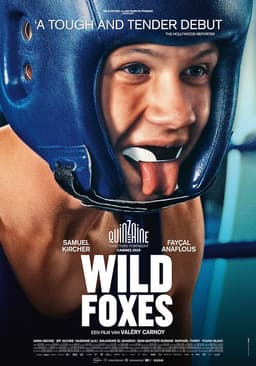 Wild Foxes poster