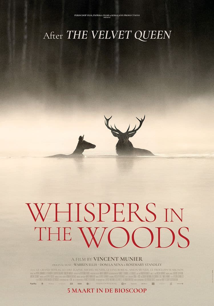 Whispers in the Woods