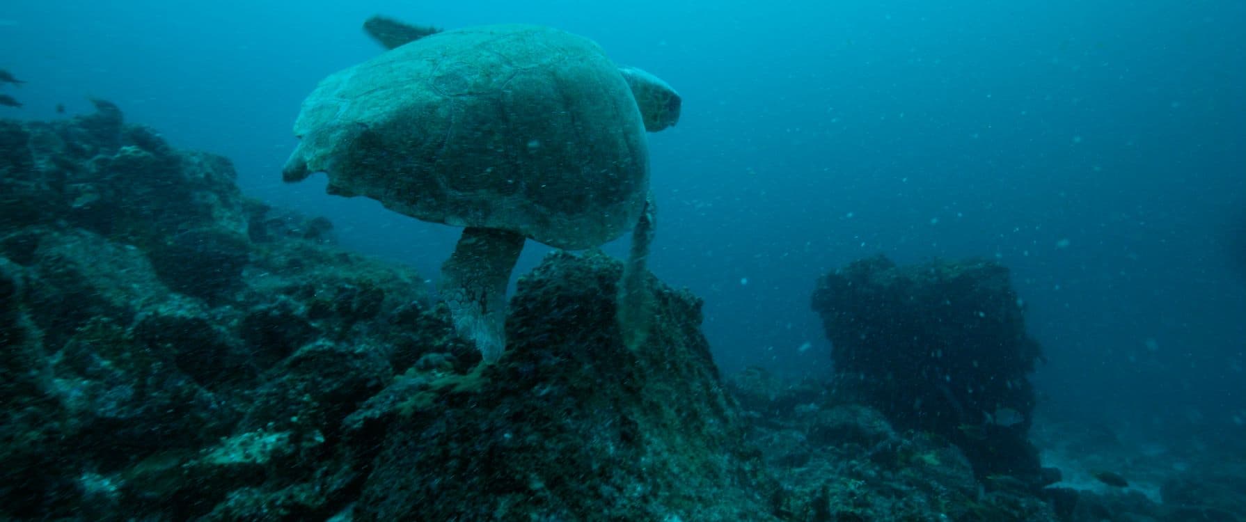 still van de film The Coriolis Effect