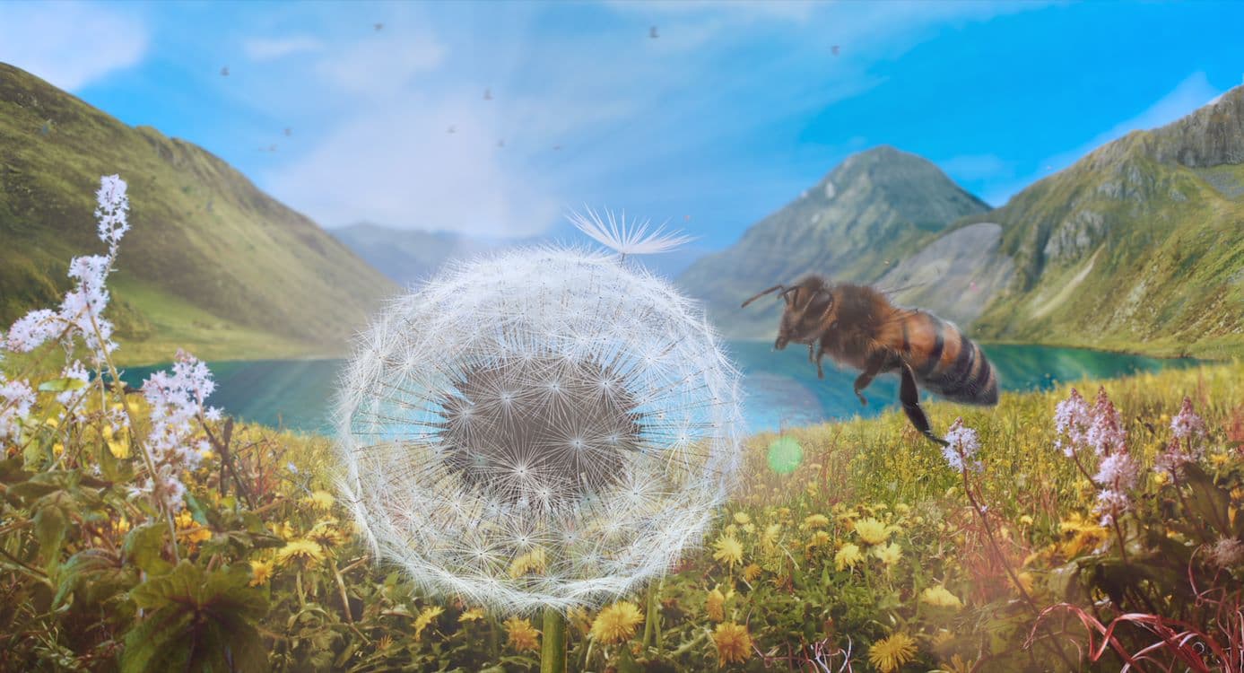 Still van de film Dandelion's Odyssey