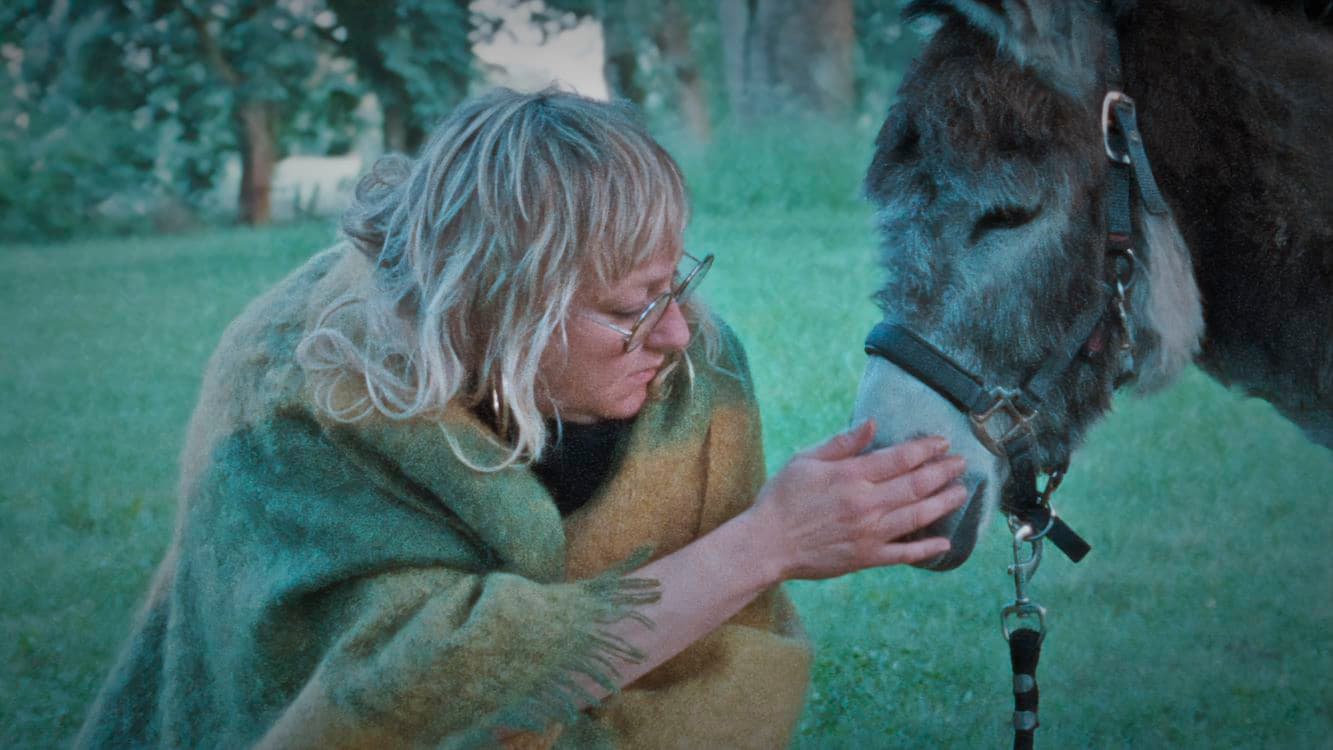 Still van de film Donkey Days
